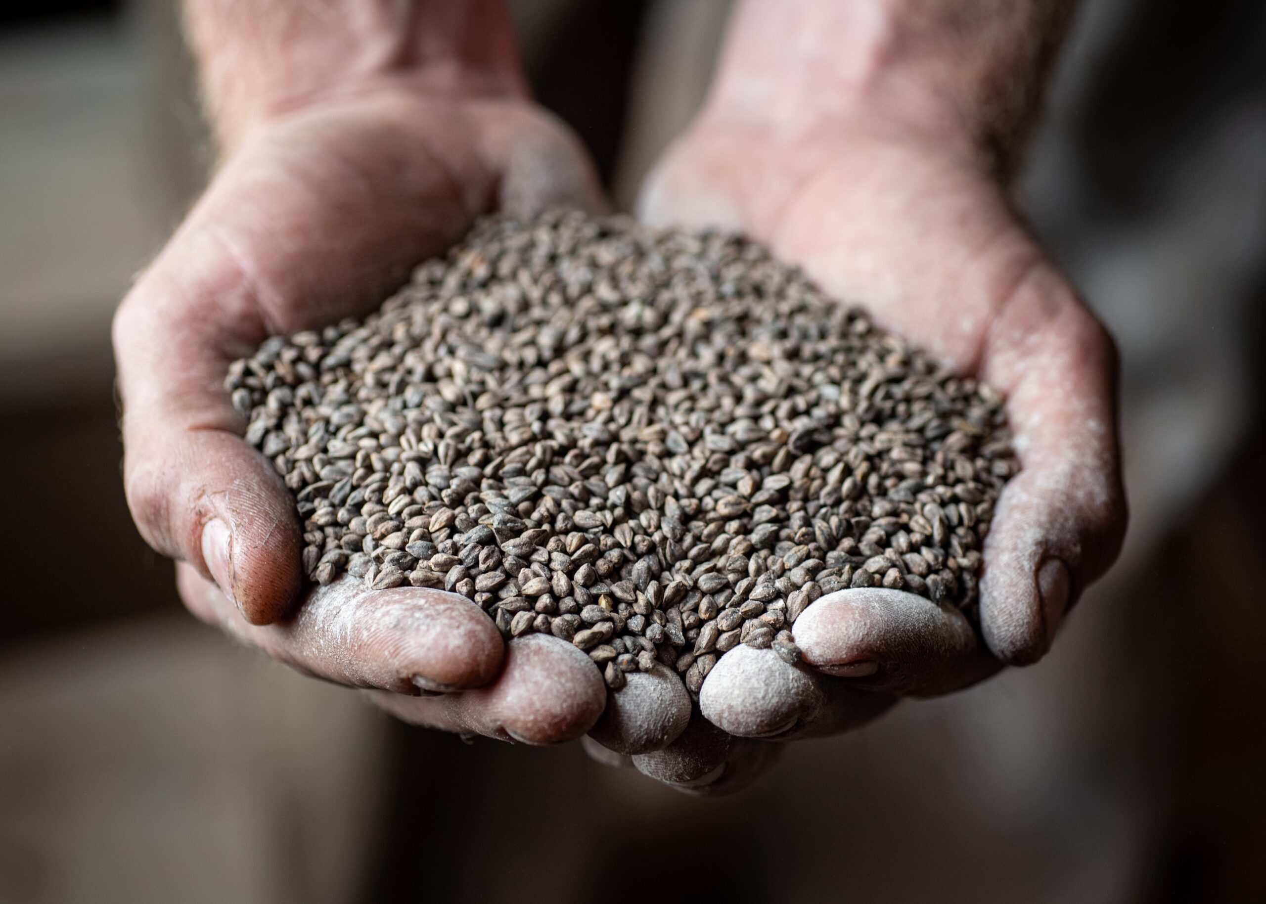 What To Know About Buckwheat And How To Use It