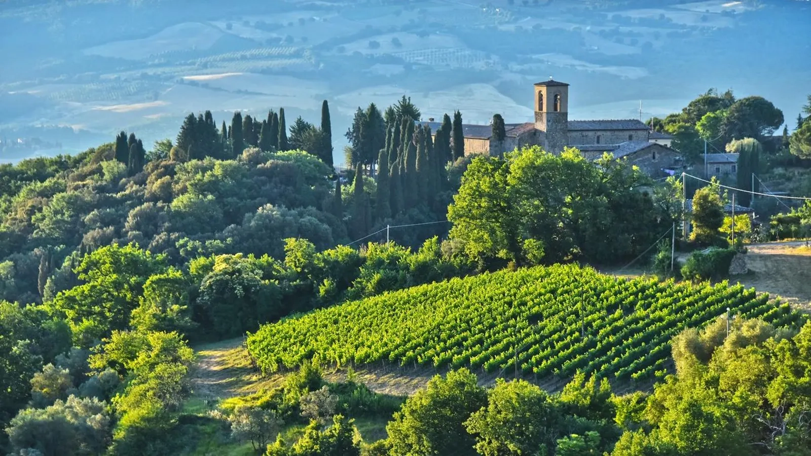 What To Know When You Next Travel To This Great Italian Wine Region