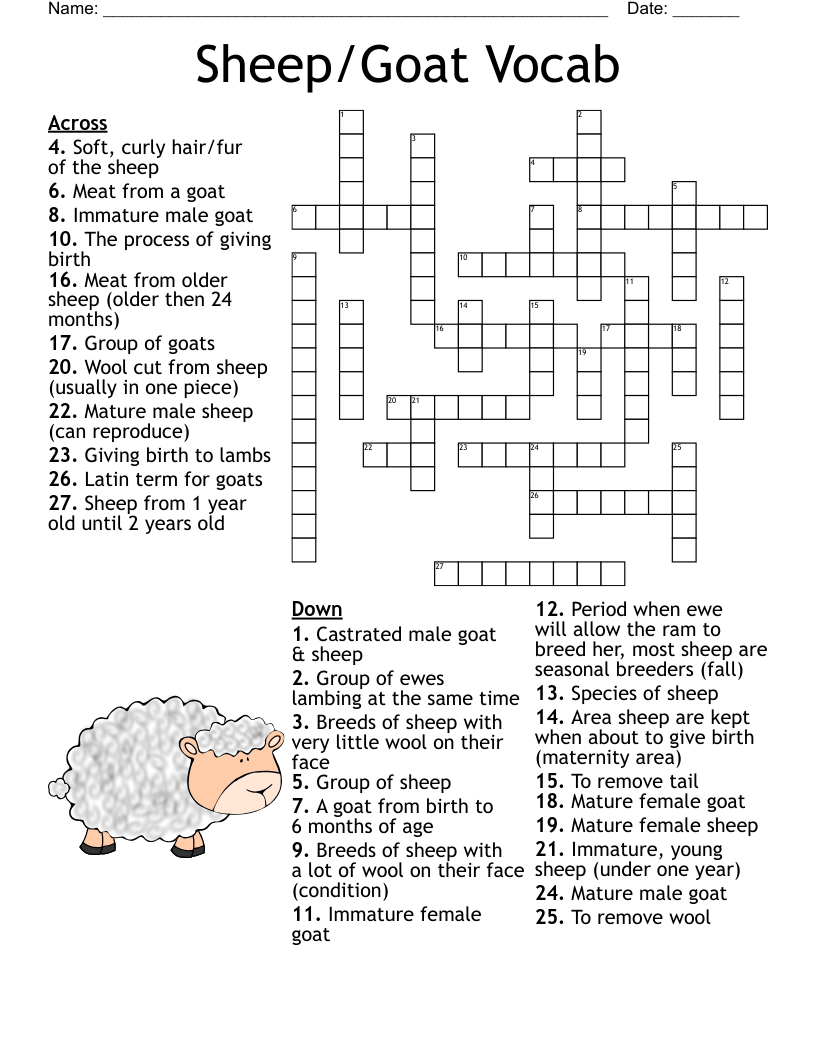 White Sheep Breeds Sheep 039 s Coat Of Wool Crossword Clue Sheep Goat Vocab Crossword WordMint